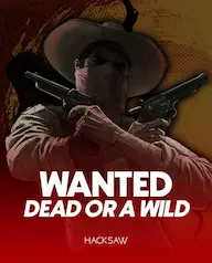 Wanted Dead Or A Wild